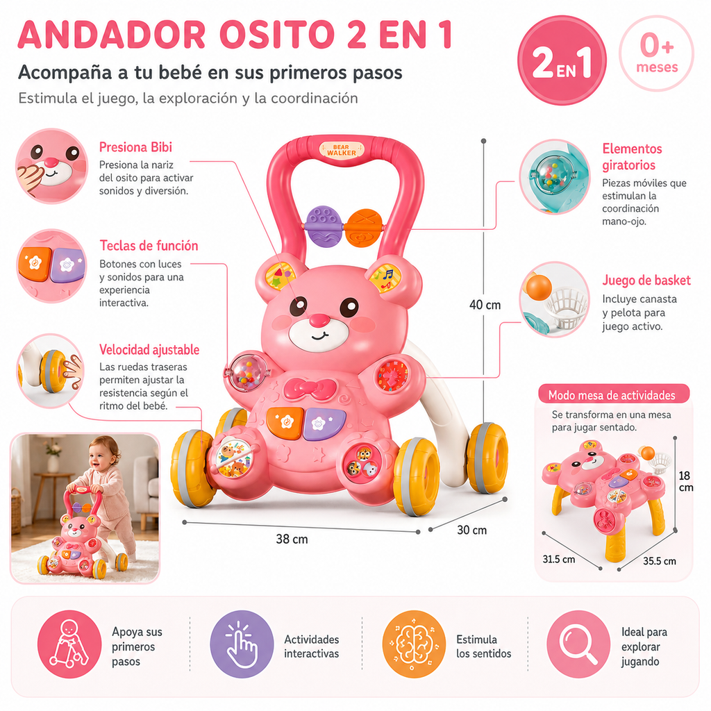 ANDADERA DIDACTICA OSO - imagen 1